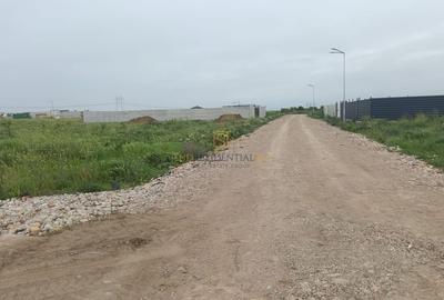 Teren de vanzare, Frumusani, Ilfov, ideal investitie, DNCB Teren de vanzare, Frumusani, Ilfov, ideal investitie, DNCB - 6