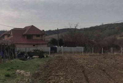 Spațiu comercial, în Rogerius - 1
