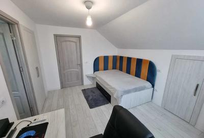 Casa ?i teren Magura - Bacau - 8