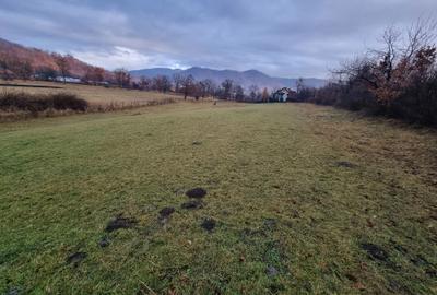 Spațiu comercial, în Bistra Mureșului - 2