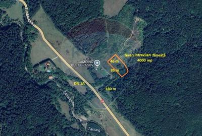 Teren Construcții intravilan de 4003 mp, în Babarunca - 7