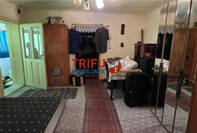 Casă cu 2 camere cu Teren 1600 Mp în Ighiu - 8