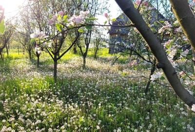 Casă în Lipovei - 7