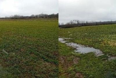 Spațiu comercial, în Hârsești - 3