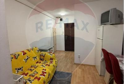 Garsonieră decomandată în Vasile Aaron - 7