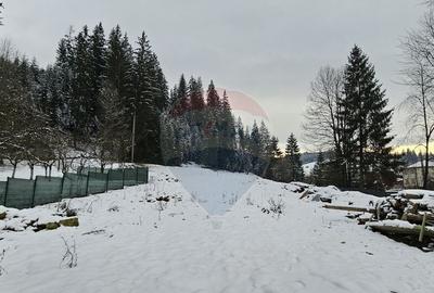 Teren in Bucovina, intravilan 3824 mp Deia-Frumosu, Suceava - 11