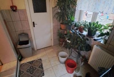 Casă 3 camere, 2 bucătării, Reșița, Muncitoresc - 7