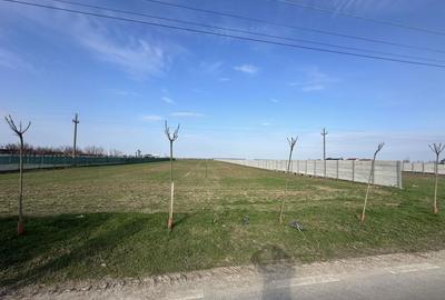 Spațiu comercial, în Bălăceanca - 3