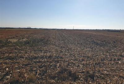 Teren intravilan in Bors cu front la 2 strazi. - 4