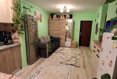 Apartament cu 2 camere semidecomandat în Vest - 2