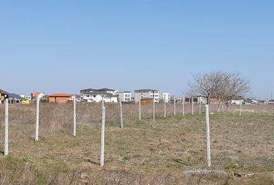 Teren de 500 mp, în Viile Noi