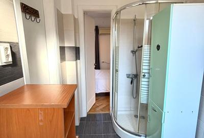 Apartament cu 2 camere semidecomandat, mobilat în Cișmigiu - 11