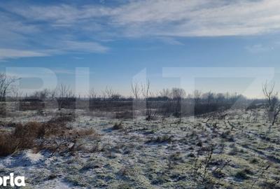 Teren de 50000 mp, în Ciorani - 7