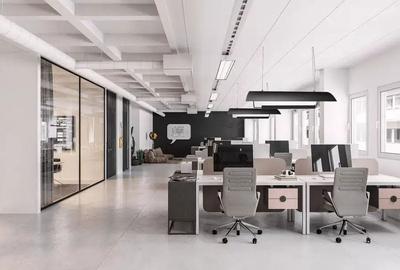 Birou, de 1,100 mp, în Herăstrău - 3