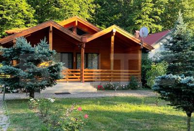 Cabana moderna in Campul Ceta?ii confort ?i natur? - 10