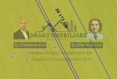 Teren de 75000 mp, în Munteni - 2