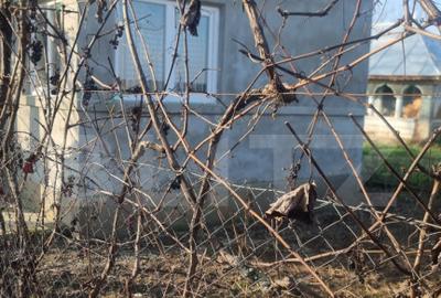 Pachet complet: casa + 800 mp Cocorastii Colt - 10