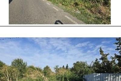 Teren de 353 mp, în Ștefăneștii de Jos - 11