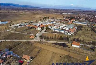 In areal linistit, acces facil, 120.000mp teren extravilan, Covasna , Borosneu Mare. - 6