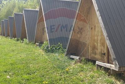 Casă cu 14 camere cu Teren 62330 Mp în Horea - 38