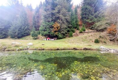 Teren intravilan panoramic 4.600mp,view iconic Piatra Craiul - 10