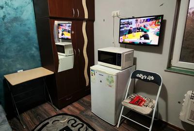 Inchiriez mini garoniera la parc monument - 3