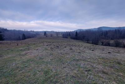 Teren agricol extravilan de 53360 mp, în Vama - 6