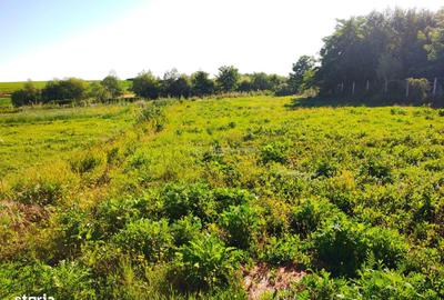 Teren de 18247 mp, în Chișlaz - 3