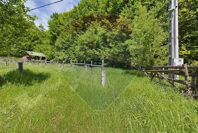 Casă cu 3 camere cu Teren 1614 Mp în Sita Buzăului - 18