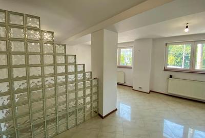 Spatiu comercial, stradal, de inchiriat - 4