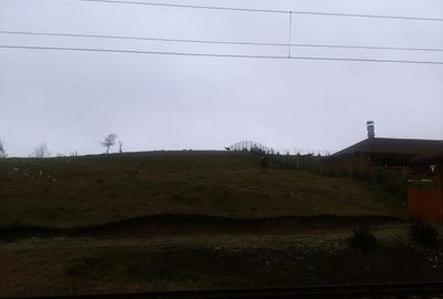 Spațiu comercial, în Paltin - 2