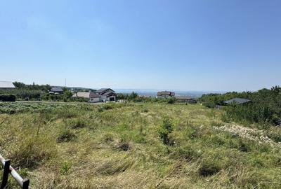 Teren de 28500 mp, în Păun - 7