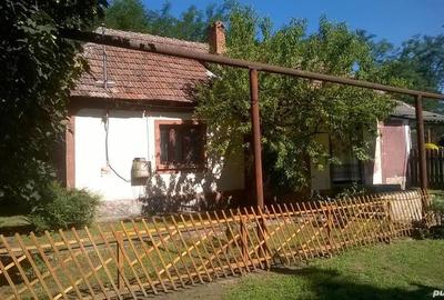 Casă cu Teren 6500 Mp în Șimian - 4