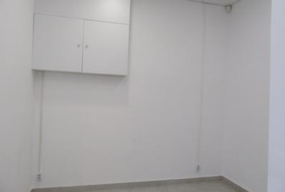 Inchiriere Spatiu Comercial Teiul Doamnei - 29