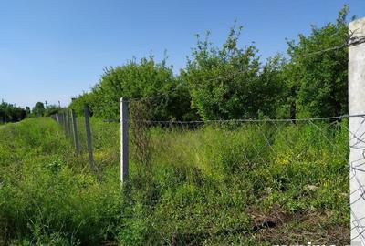 Teren de 10000 mp, în Băicoi - 6