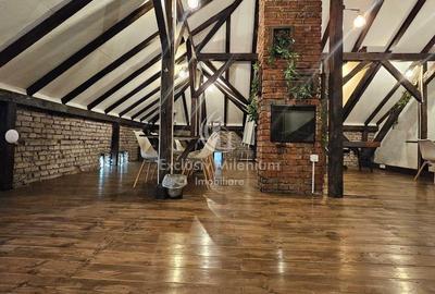 Vila Exclusivista Cismigiu  - Stirbei Voda Birouri - 3