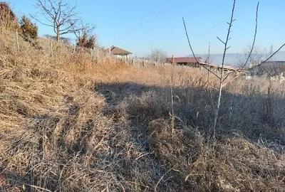 Teren de 1400 mp, în Cetate