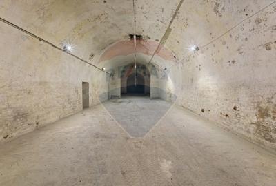 Spațiu comercial, de 500 mp, în Aradul Nou