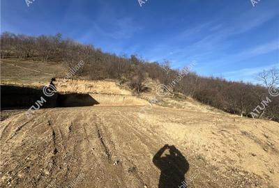 Teren intravilan de 1641 mp cu PUZ aprobat si utilitati in Cisnadioara - 12