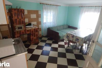 Casă cu 4 camere cu Teren 108 Mp în Topleț - 8