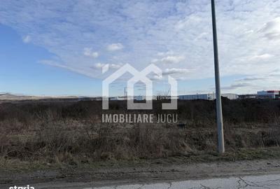 Spațiu comercial, în Industrial - 3