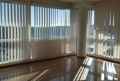 Spațiu industrial, de 700 mp, în Mogoșoaia - 6