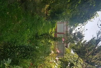 Teren de 504 mp, în Gherăiești - 2