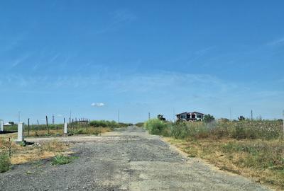 Teren intravilan de vanzare 500mp, zona Km5 veterani - 2