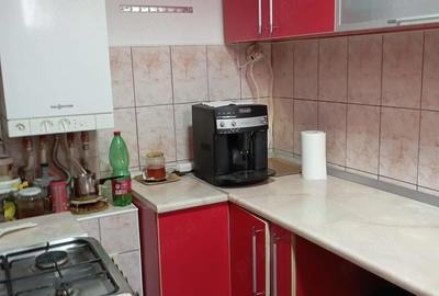 Casă cu Teren 250 Mp în Gojdu - 1