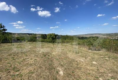 Teren intravilan in Aghires in suprafata de 1500 mp - 7