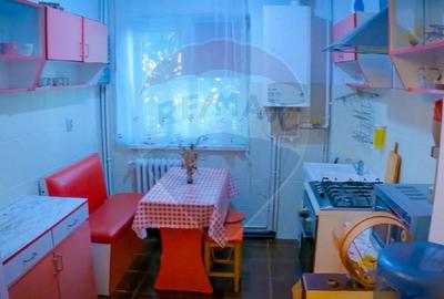 Apartament cu 2 camere de inchiriat in Deva - 9