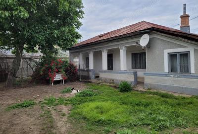 Casă cu 5 camere cu Teren 1351 Mp în Cernica - 8