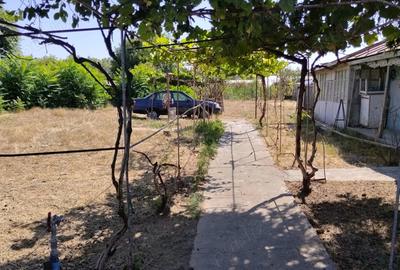 Teren intravilan + casa batraneasca - 4