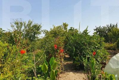 DE VANZARE Casa cu gradina mare in Lugoj - 3